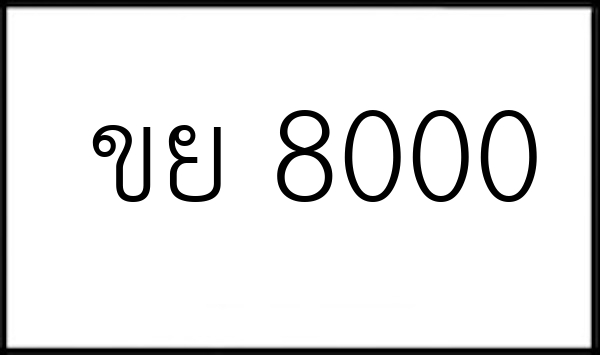 ขย 8000